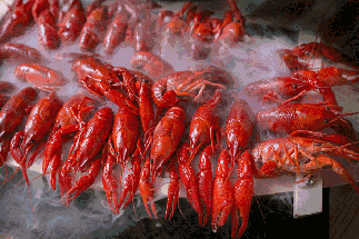 小龍蝦vs火鍋，誰(shuí)才是餐飲界扛把子？